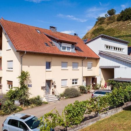 Appartamento Winzerhof Senn Vogtsburg Esterno foto