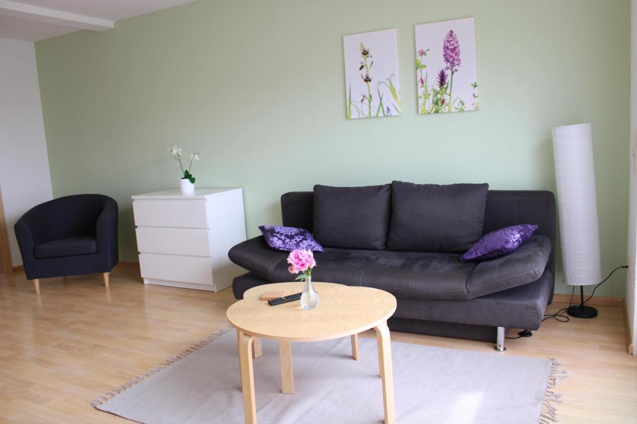 Appartamento Winzerhof Senn Vogtsburg Esterno foto