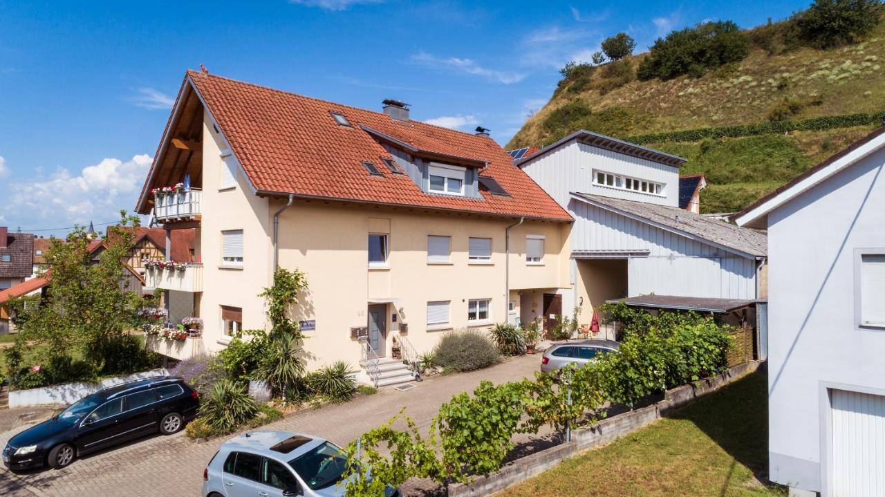 Appartamento Winzerhof Senn Vogtsburg Esterno foto