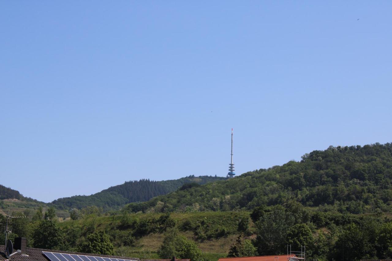 Appartamento Winzerhof Senn Vogtsburg Esterno foto