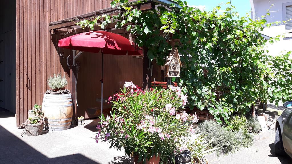 Appartamento Winzerhof Senn Vogtsburg Esterno foto