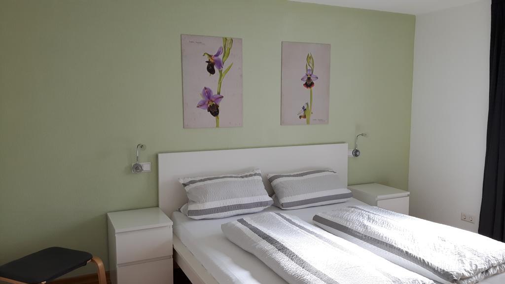 Appartamento Winzerhof Senn Vogtsburg Esterno foto