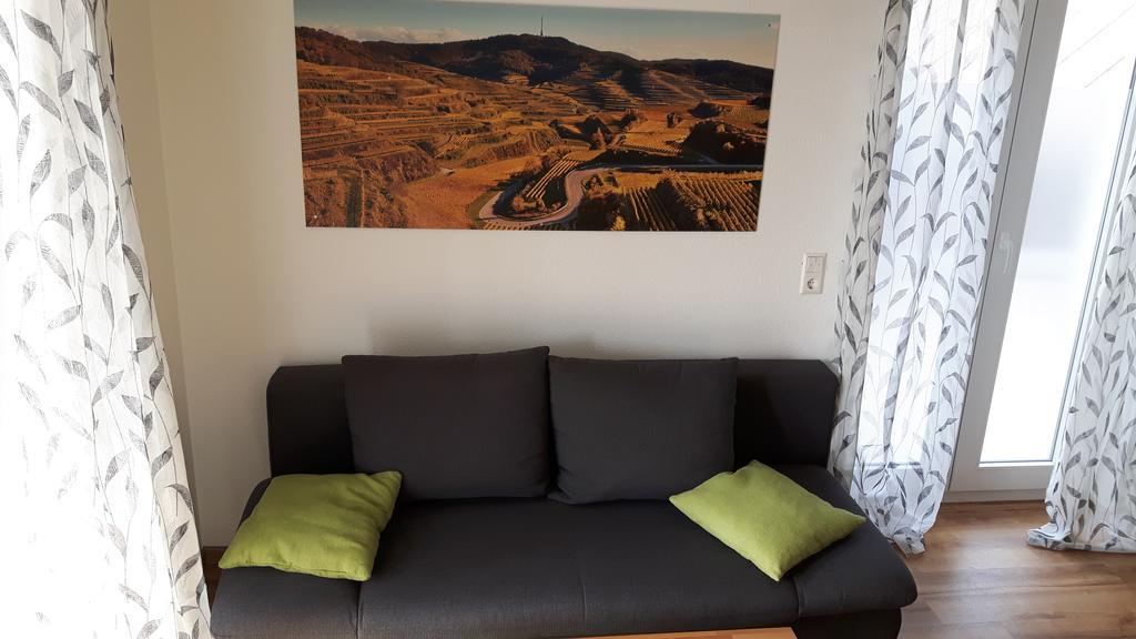 Appartamento Winzerhof Senn Vogtsburg Esterno foto