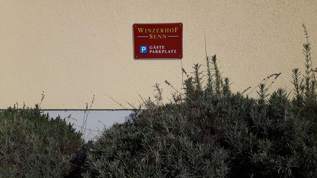 Appartamento Winzerhof Senn Vogtsburg Esterno foto
